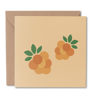 Blafre kort stort - Multe Dobbelt kort