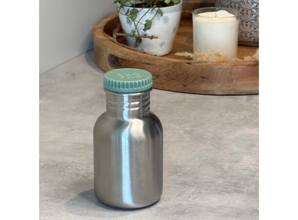Blafre stålflaske - Blågrønn 300 ml 