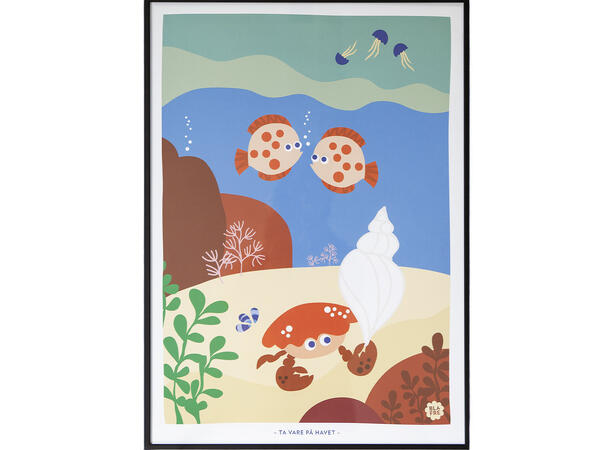 Blafre plakat - Flo og fjære 50 x 70 cm