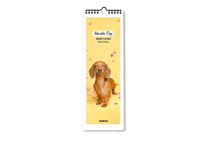 Pickmotion Fødselsdagskalender- Dogs Fødselsdagskalender 