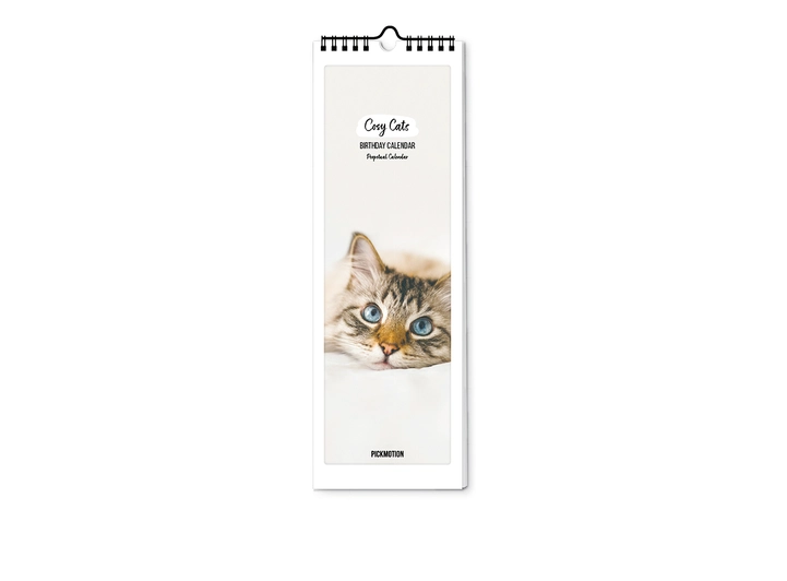 Pickmotion Fødselsdagskalender- Cozy cat Fødselsdagskalender 