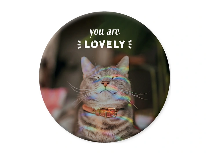 Pickmotion magnet  You are lovely 5,6 cm 