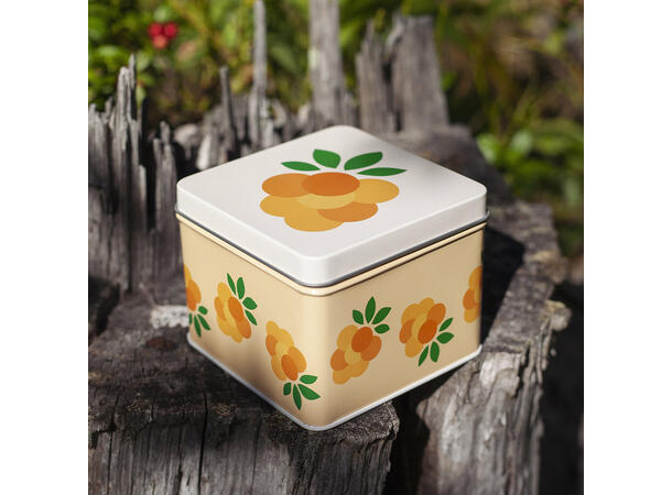 Blafre metallboks - Multe