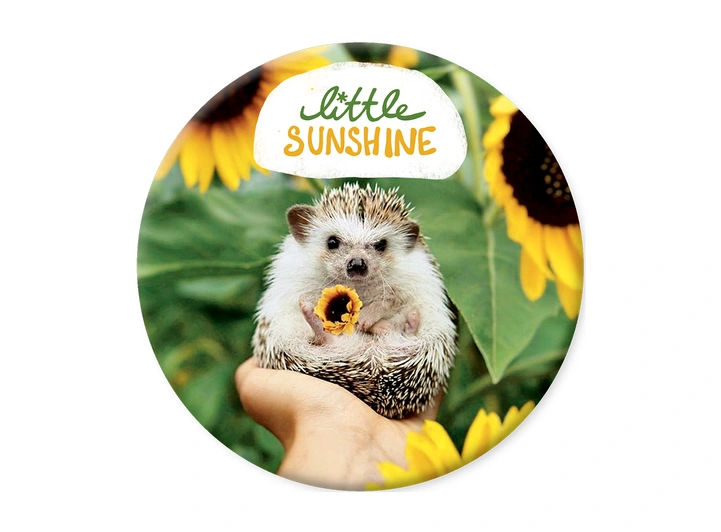 Pickmotion magnet litlle sunshine 5,6 cm 