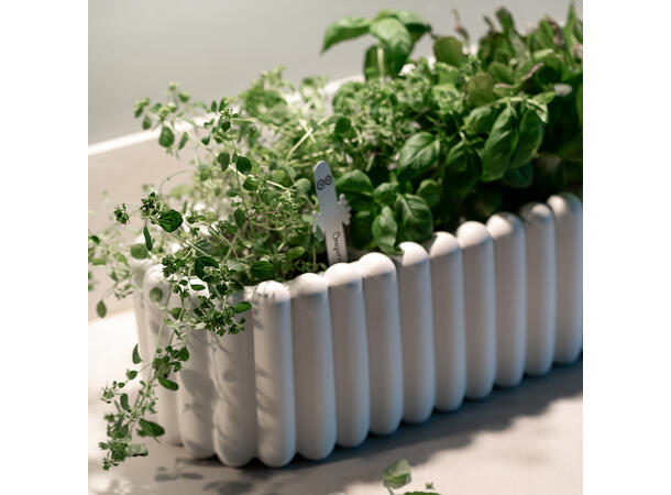 Mummi Plantemarkører - Hattifnatt 4 stk 