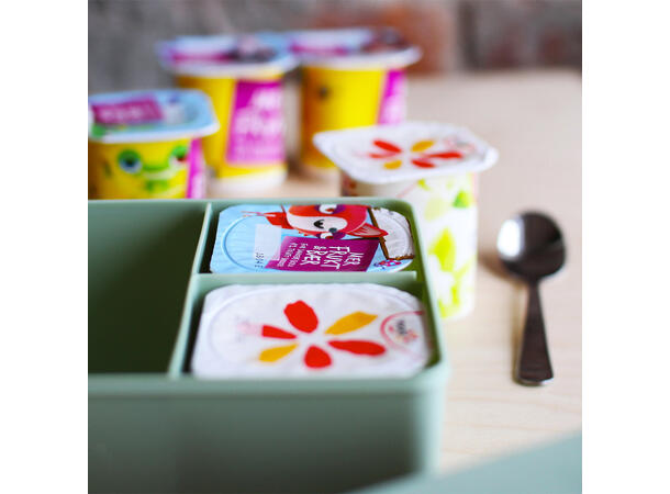 Blafre matboks i plast treroms - Bjørn Himmelblå/oransje