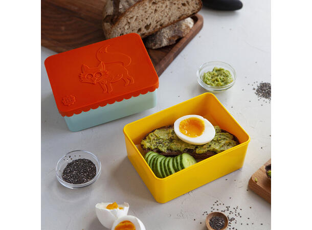 Blafre matboks i plast ett rom - Rev Hvit/gul