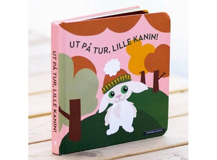 Blafre pekebok - Ut på tur, lille kanin 0-3 år 
