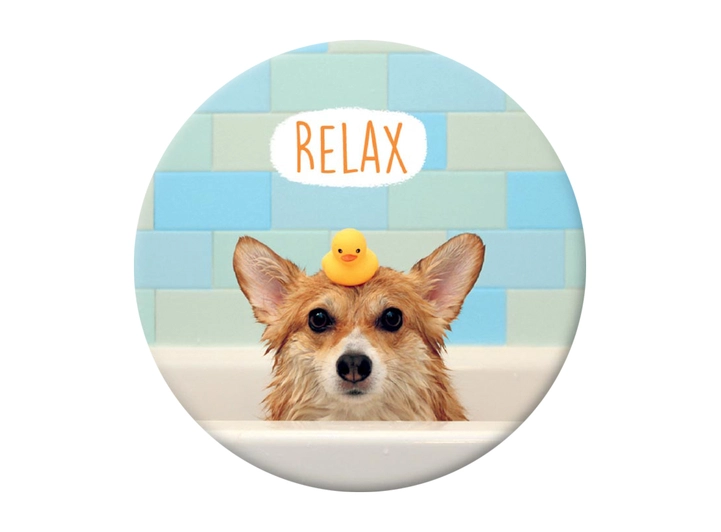Pickmotion magnet Relax 5,6 cm 