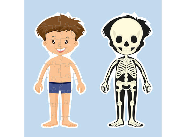 Puslespill kroppen gutt - 34 brikker 3+