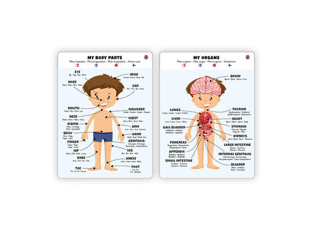 Puslespill kroppen gutt - 34 brikker 3+