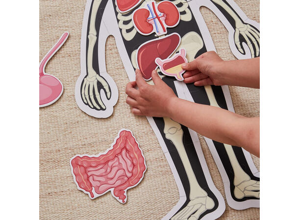 Puslespill kroppen gutt - 34 brikker 3+