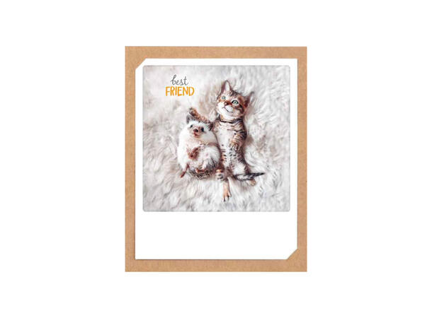 Pickmotion doble kort - Best friend Pickmotion - Doble kort