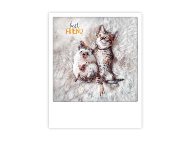 Pickmotion postkort - Best friend Pickmotion - Postkort