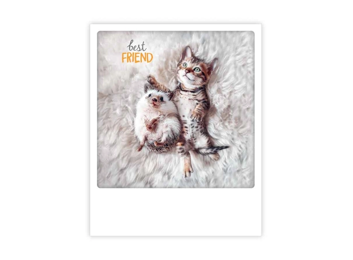 Pickmotion postkort - Best friend Pickmotion - Postkort 