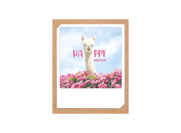 Pickmotion doble kort - Happy Pickmotion - Doble kort
