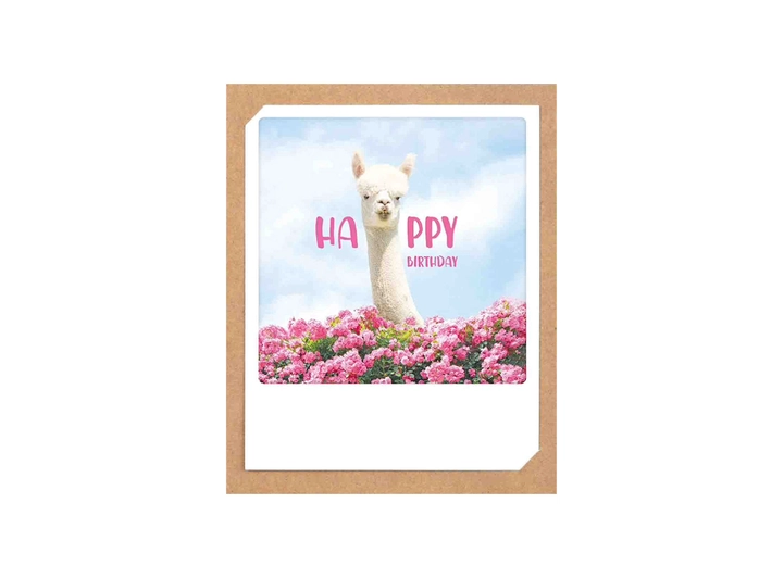 Pickmotion doble kort - Happy Pickmotion - Doble kort 