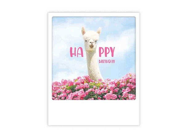 Pickmotion postkort - Happy Pickmotion - Postkort