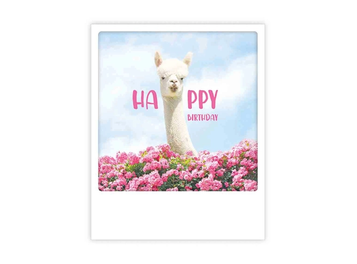 Pickmotion postkort - Happy Pickmotion - Postkort 
