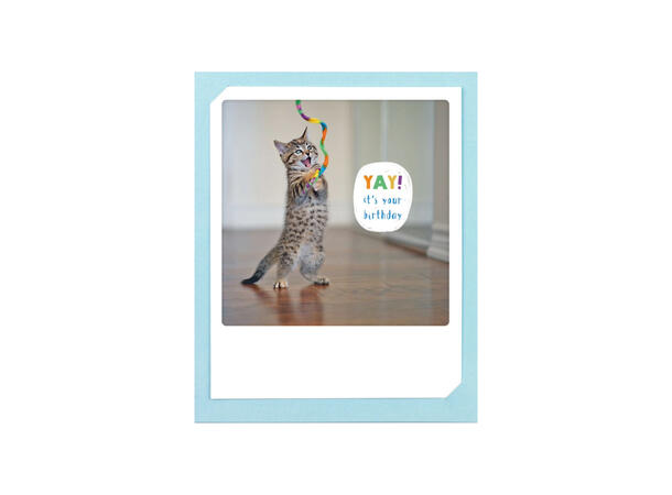 Pickmotion doble kort - YAY! Pickmotion - Doble kort