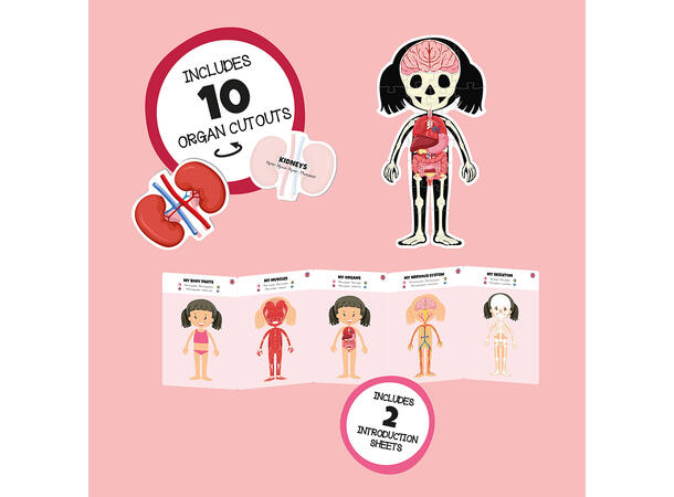 Puslespill kroppen jente  - 36 brikker 3+