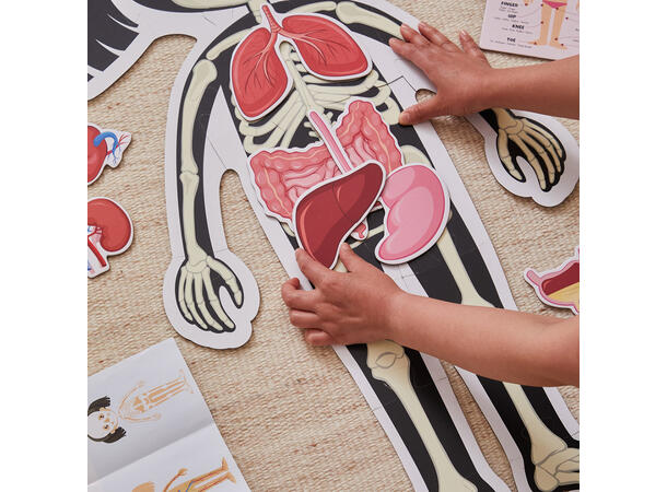 Puslespill kroppen jente  - 36 brikker 3+